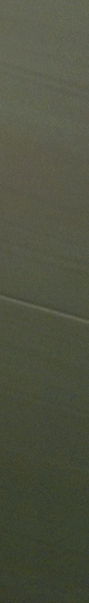 ǽ