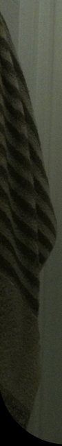ë