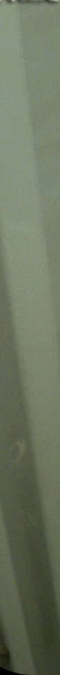 űԵ