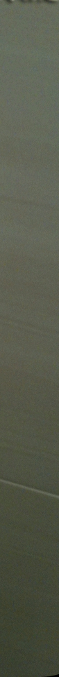 ǽ